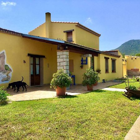 I Carrubi Casa de hóspedes San Priamo Exterior foto